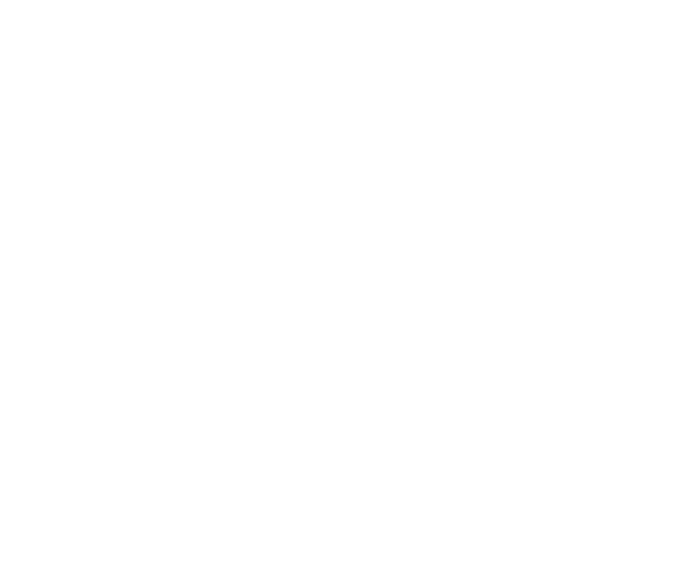Sargis Karapetyan Charity Foundation